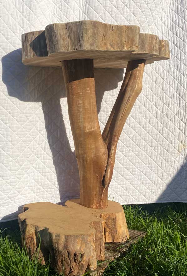 Functional Log Art pedestal